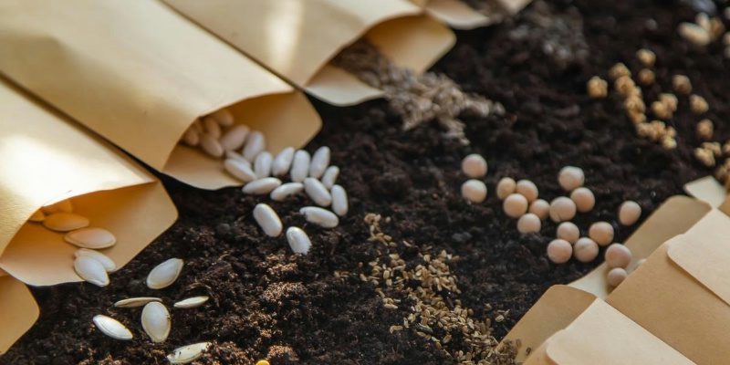 PP Seed bags